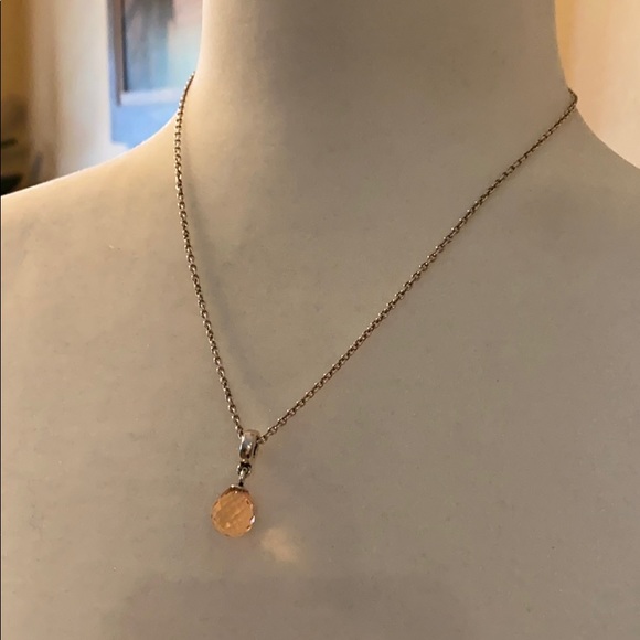Pandora Jewelry - Pandora Charm Necklace